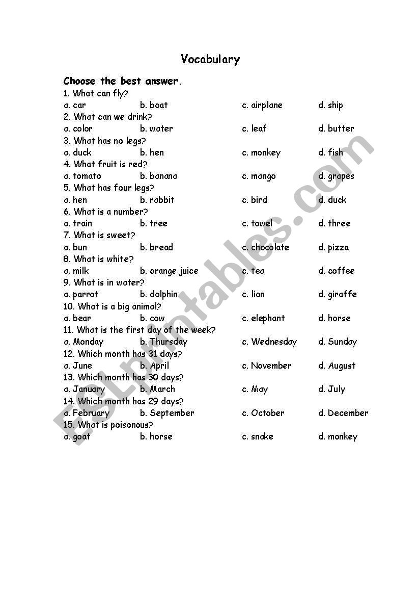 Vocabulary worksheet