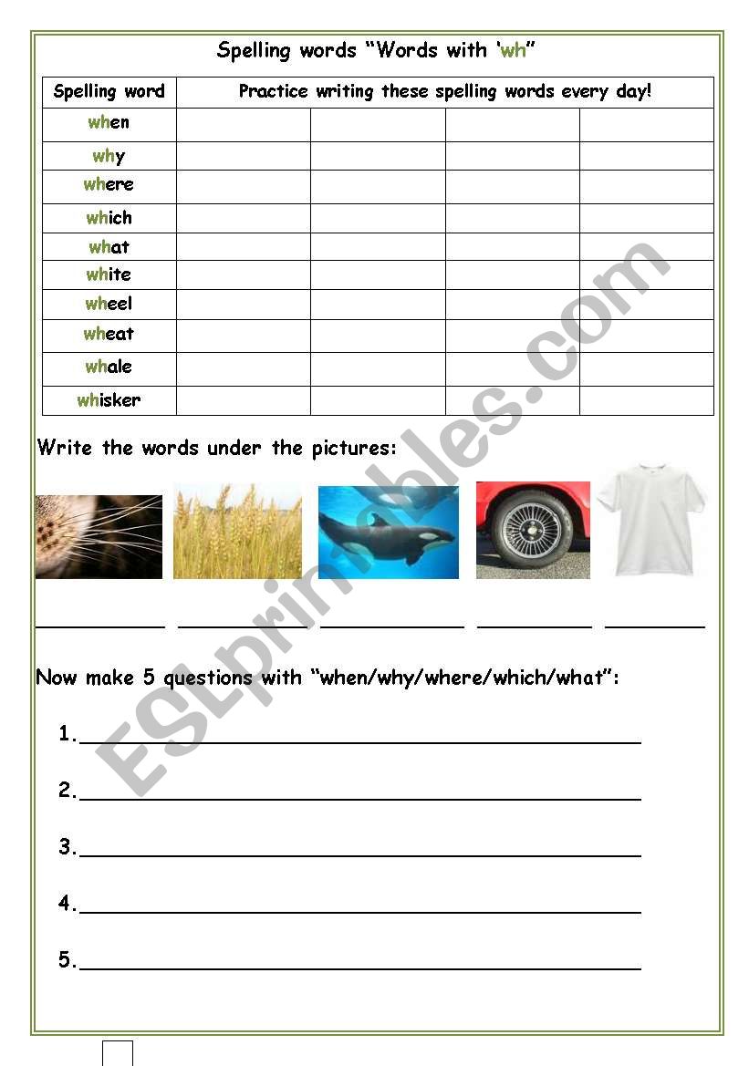 Wh words worksheet