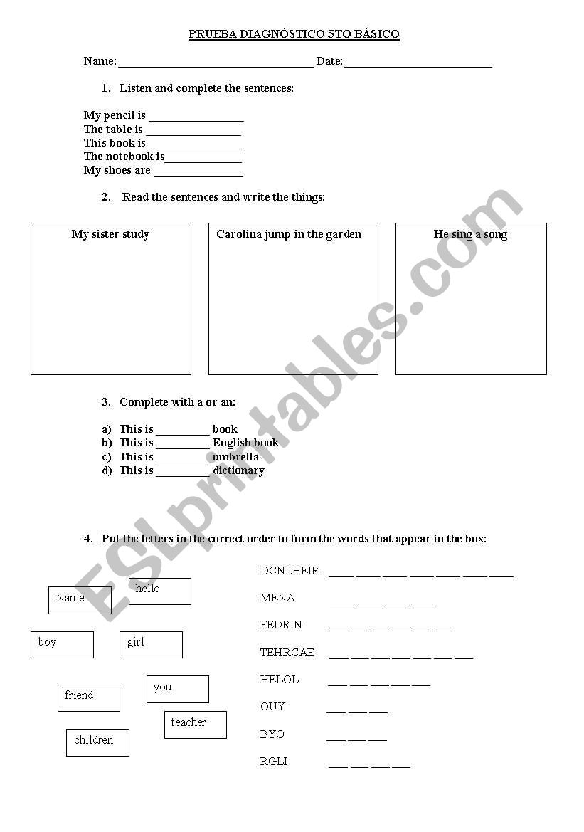 test preposition- a and an worksheet