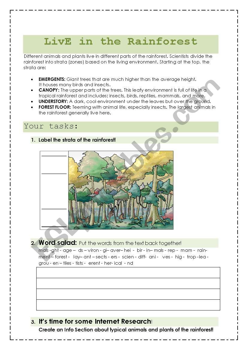 Live in the rainforest - ESL worksheet by hain