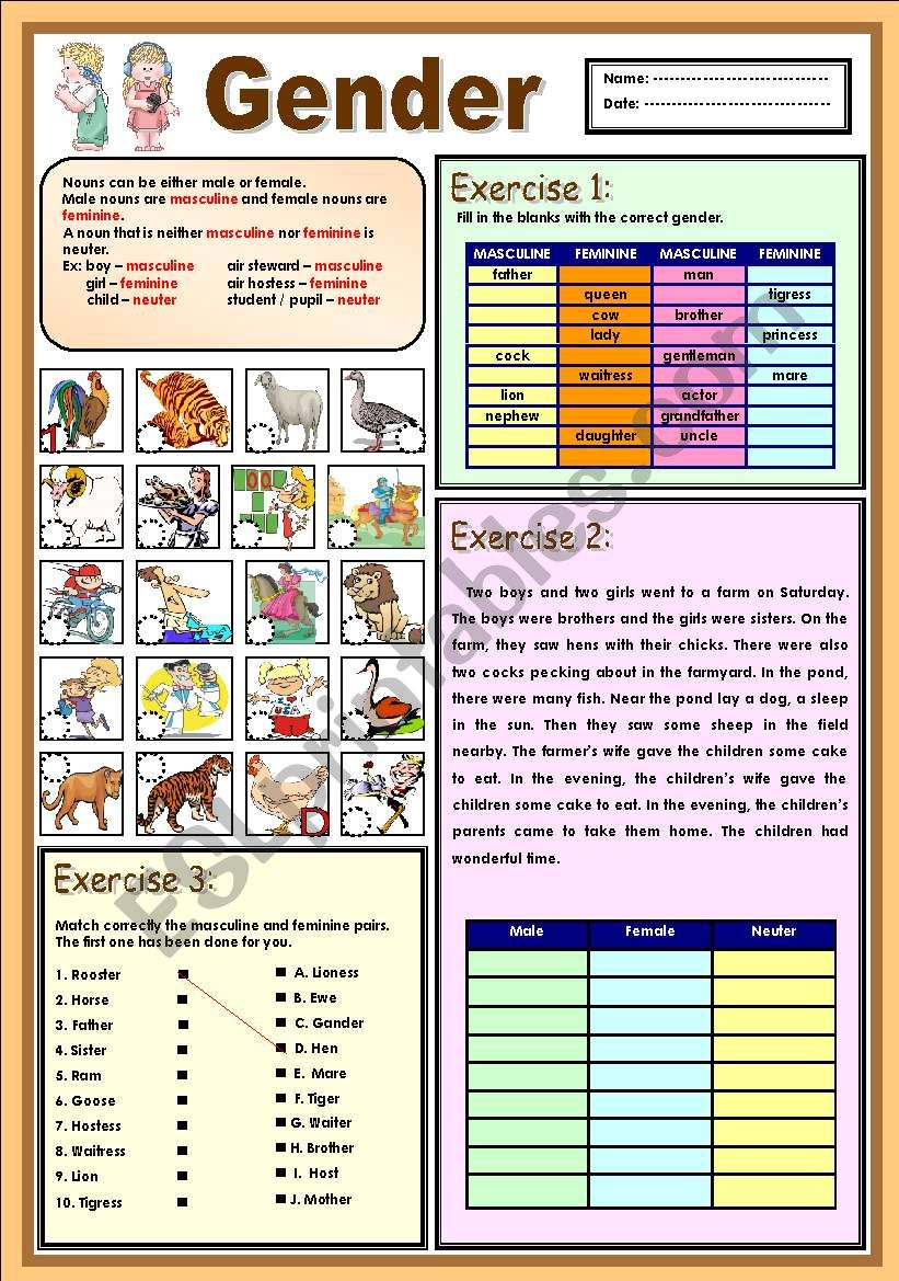 Gender ESL Worksheet By Ayrin