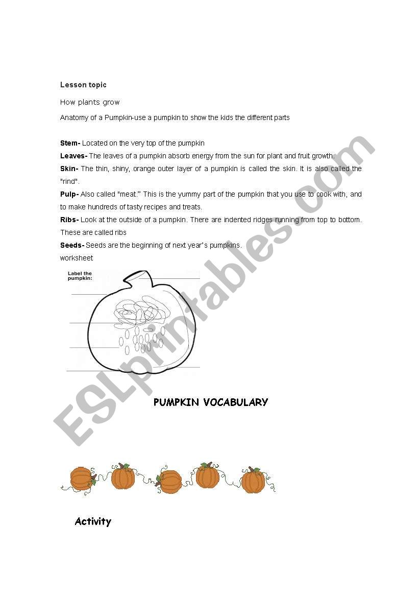 How plants grow worksheet