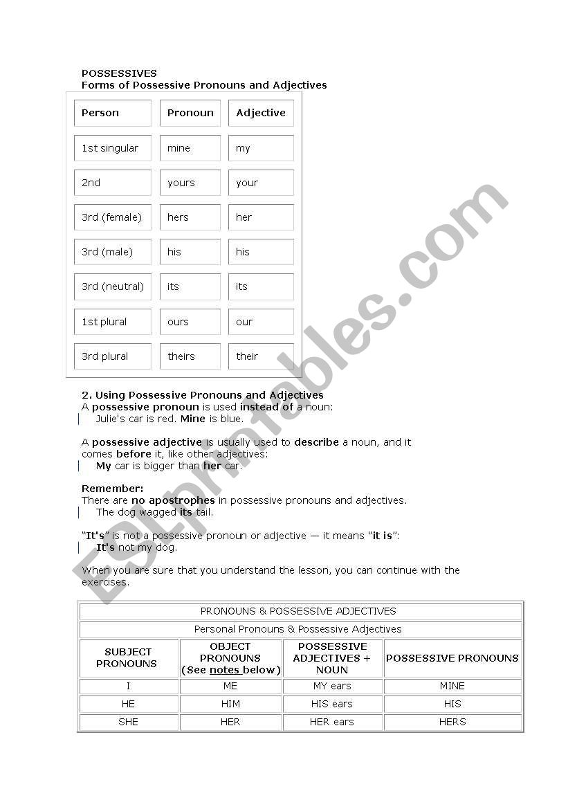 POSSESSIVES GRAMMAR worksheet