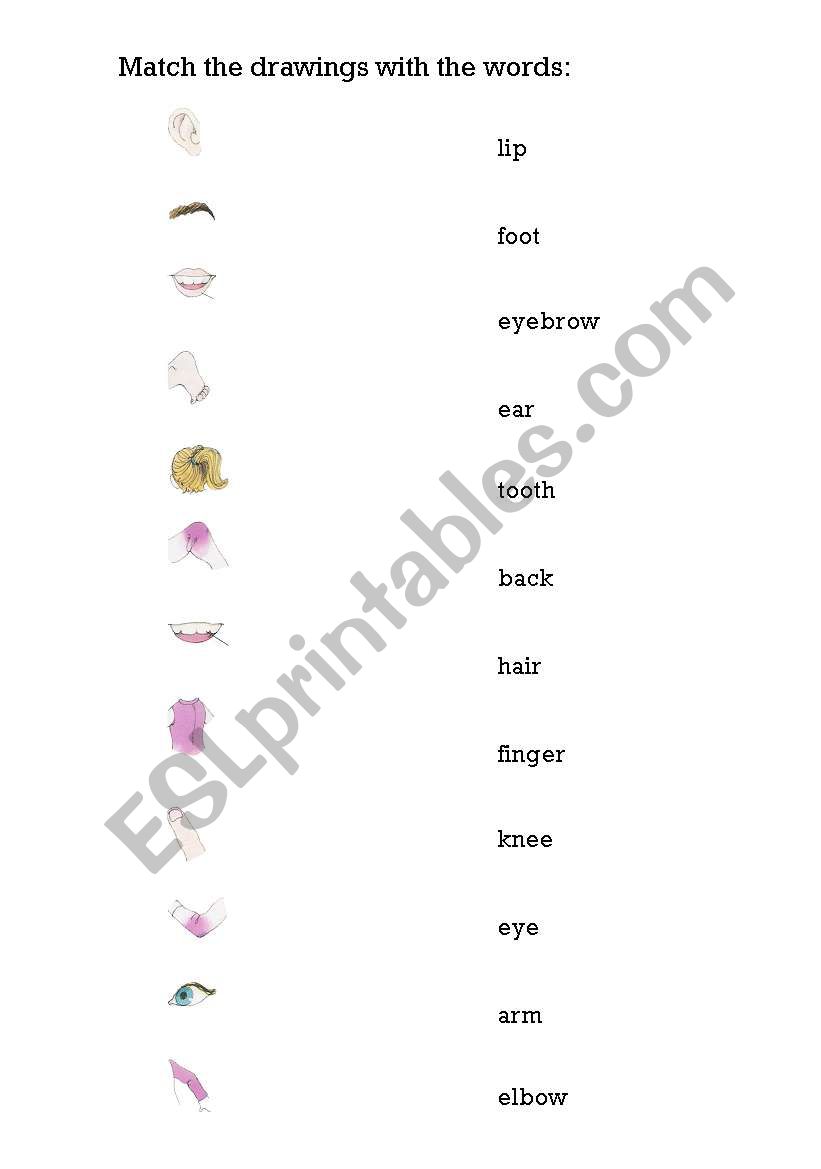 english-worksheets-parts-of-the-body