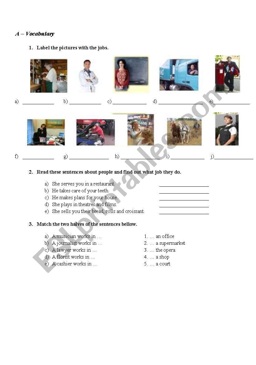 test on jobs worksheet