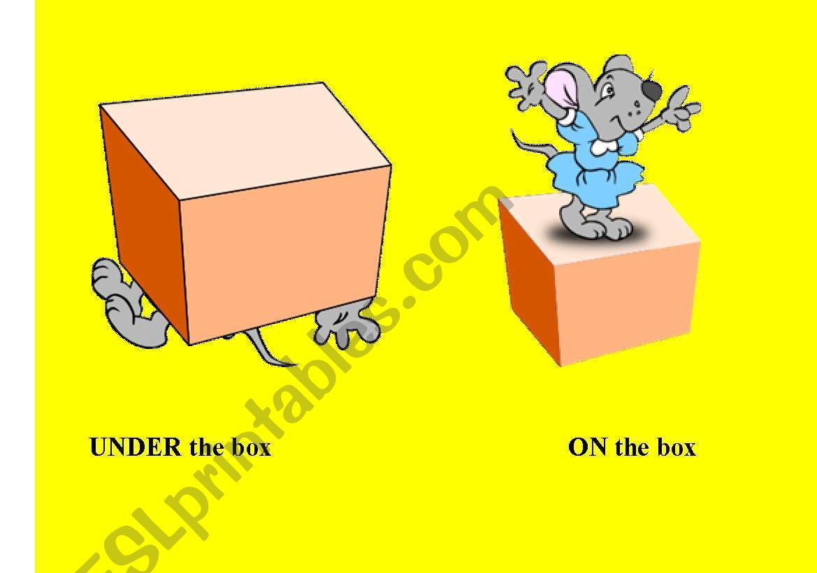 prepositions of place  worksheet