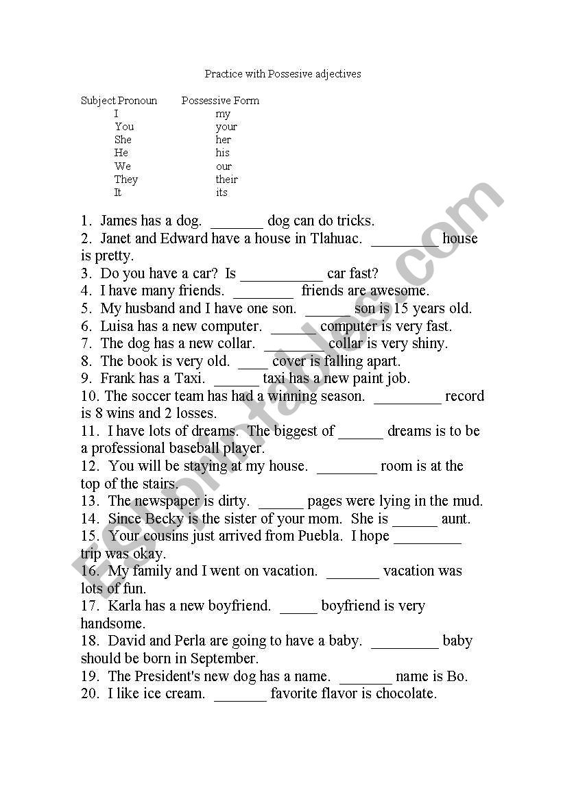 Practice with possessive adjectives