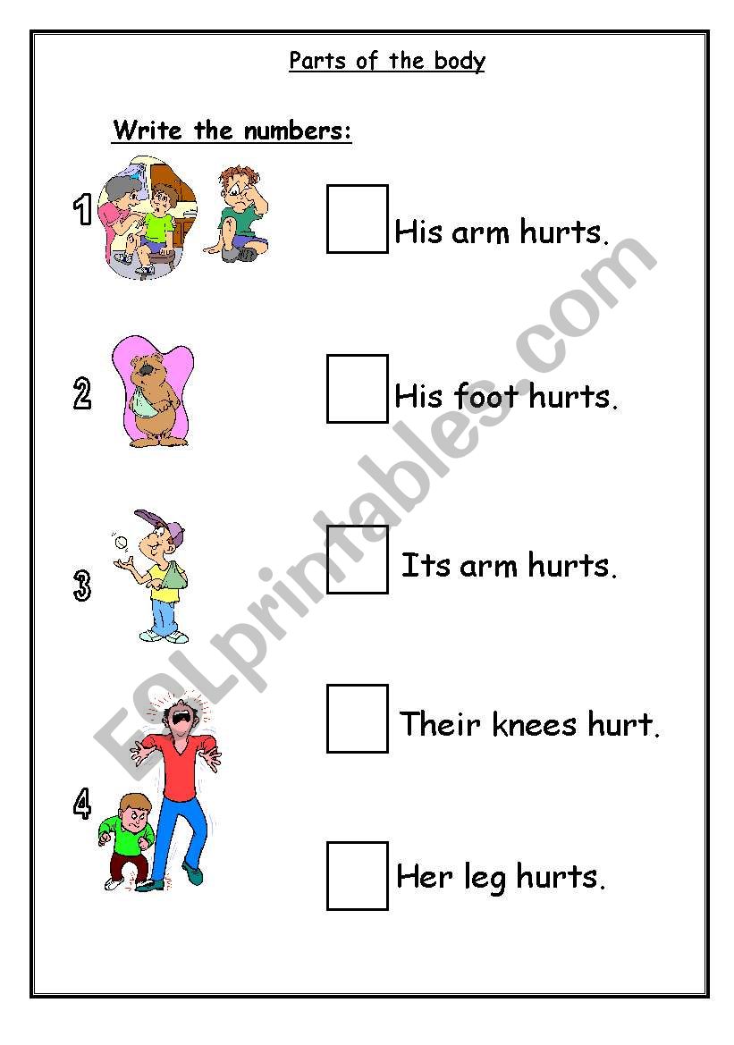 Parts of the body worksheet