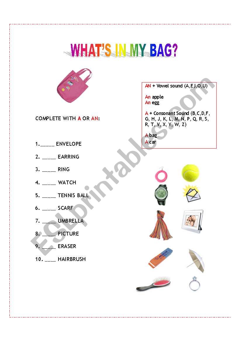 English Worksheets: What´s In My Bag?