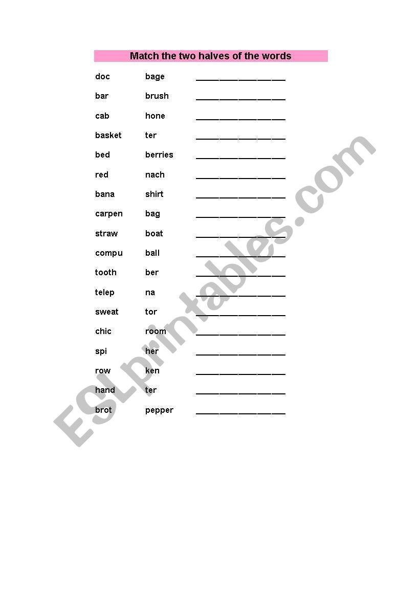 vocabulary worksheet