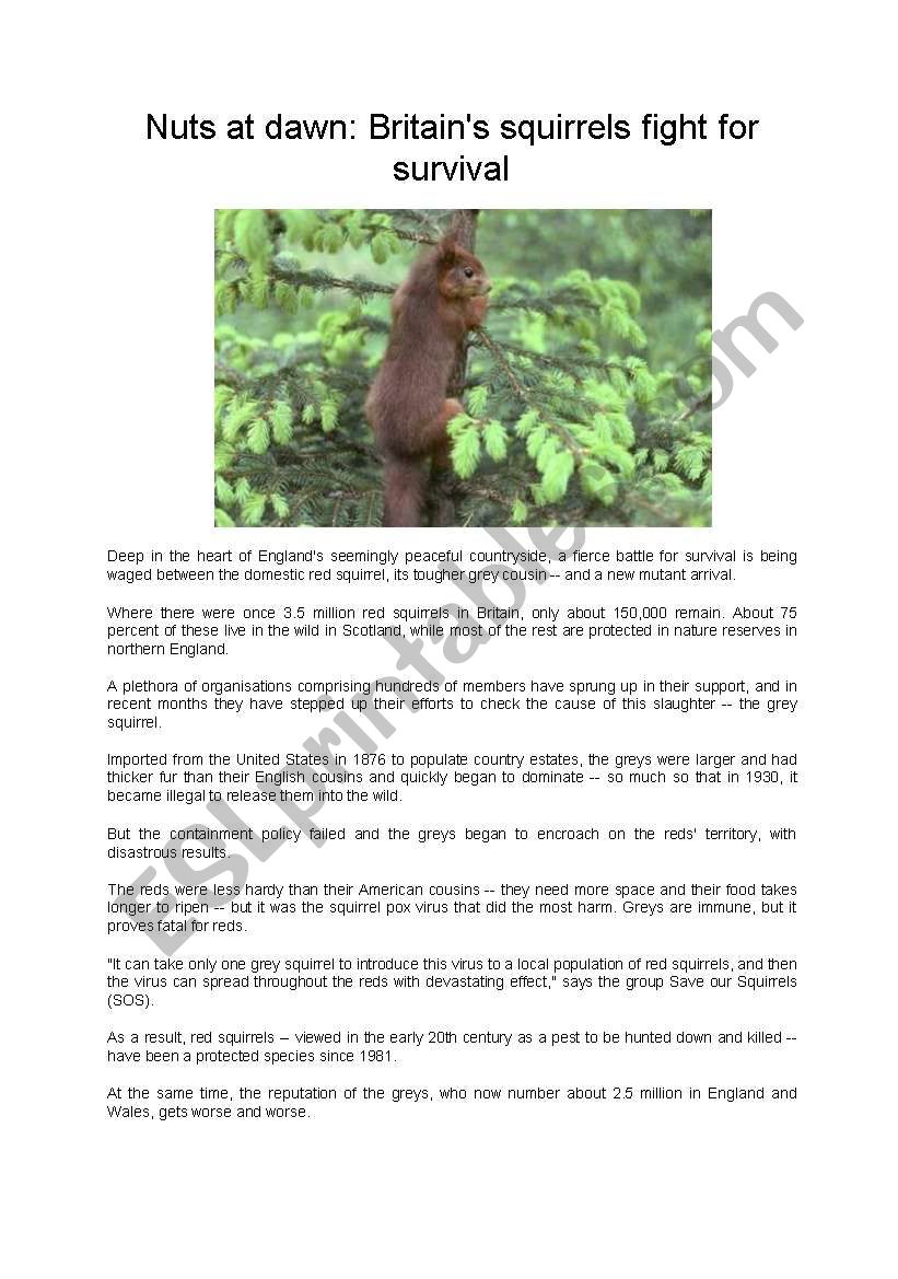 Britains Squirrels Endangered article