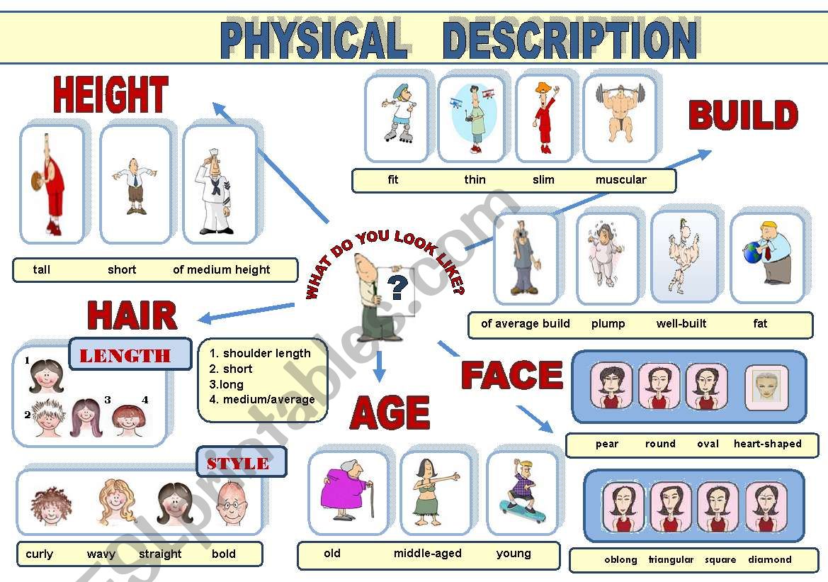 PHYSICAL DESCRIPTION POSTER VOCABULARY GUIDE IN A POSTER FORMAT 