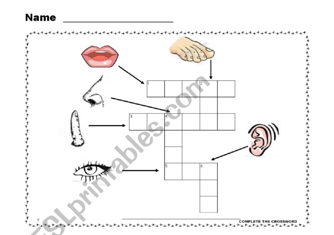 touch your toes  4 / 4 worksheet