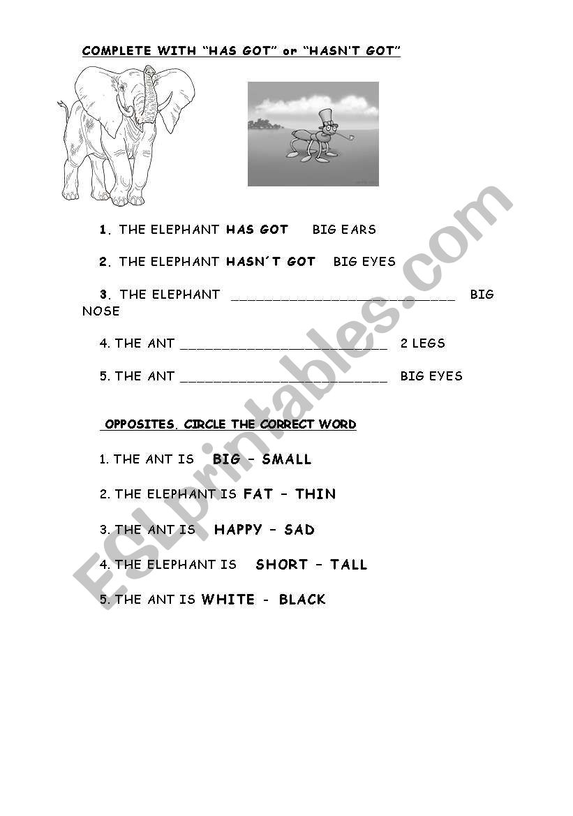 ADJECTIVES worksheet