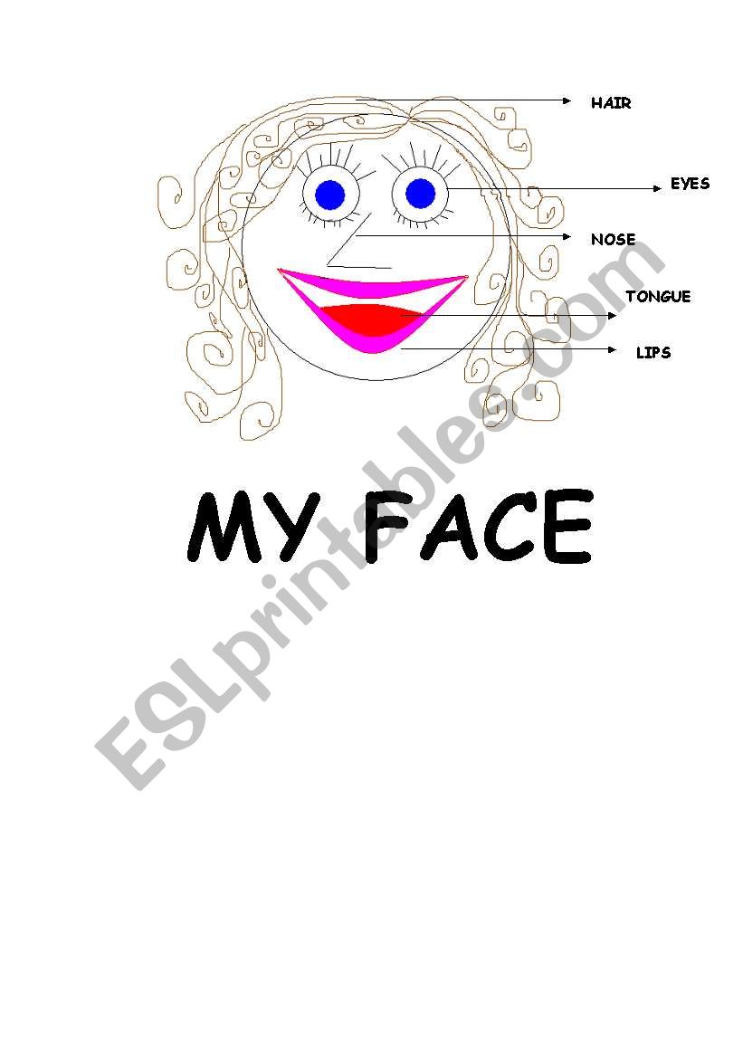 my face worksheet