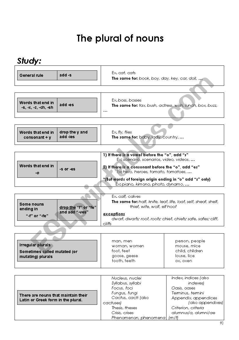 Plural of Nouns worksheet