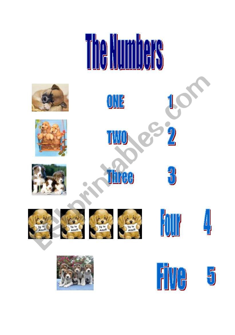 The numbers worksheet