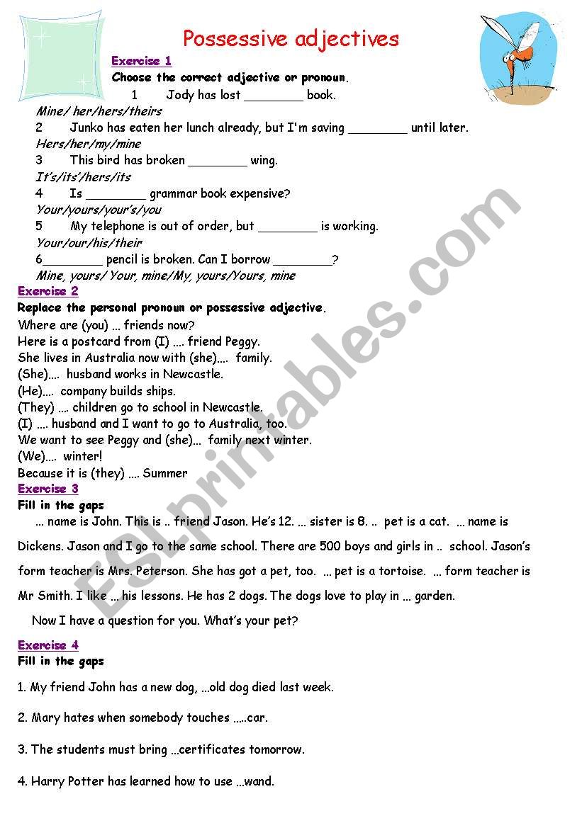 Possessive Adjectives worksheet