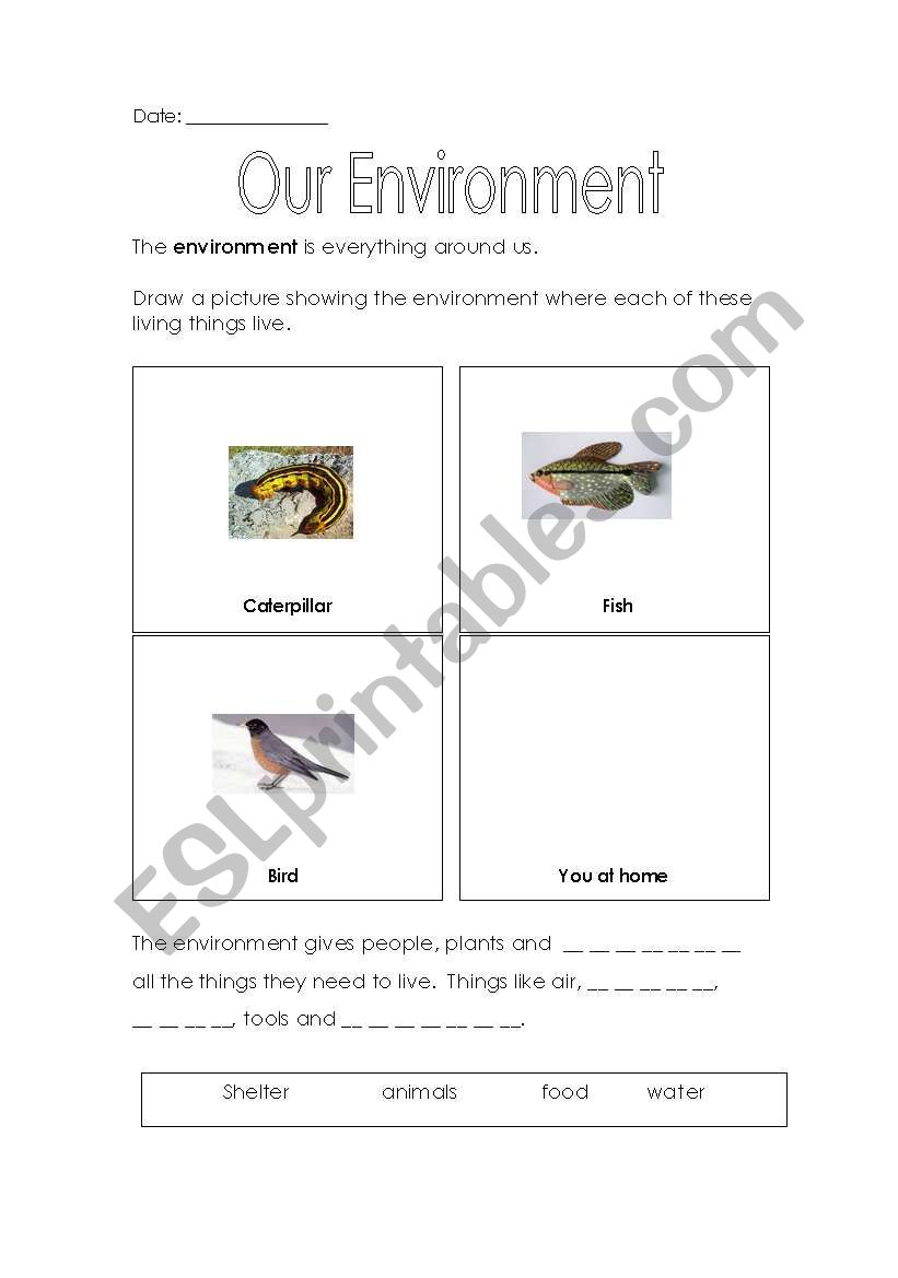 our environment worksheet