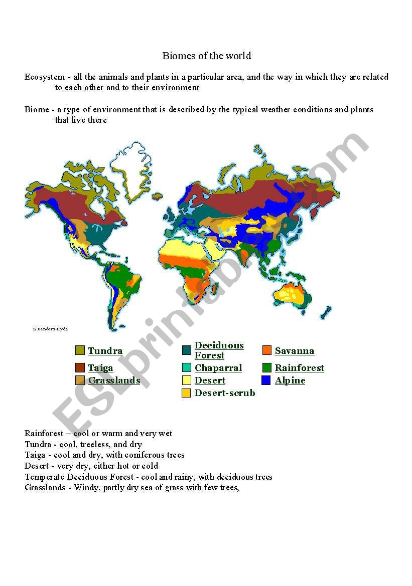 Biomes of the World worksheet