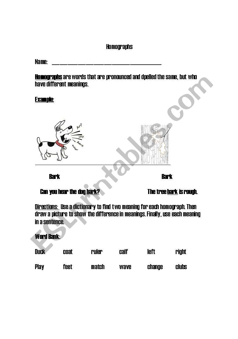 Homographs worksheet