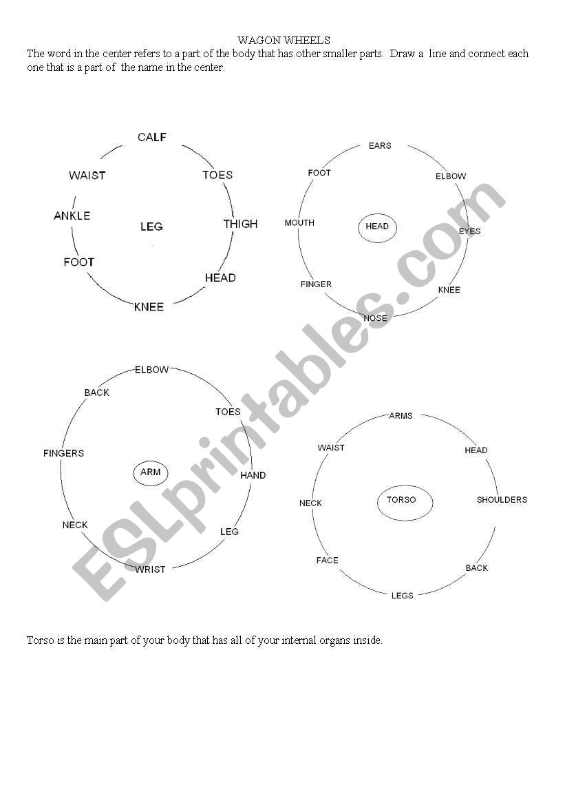 Wagon Wheels worksheet