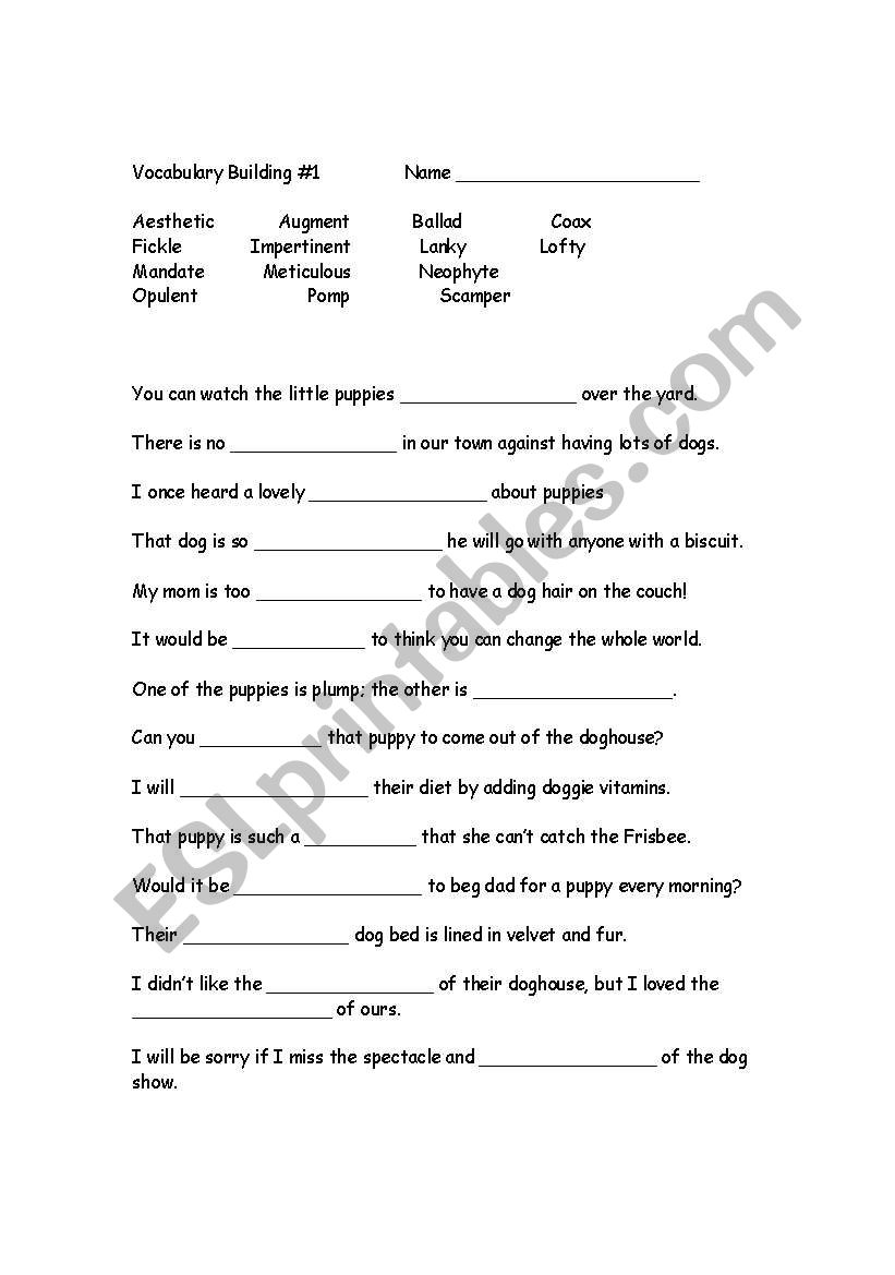 Vocabulary Cloze  worksheet