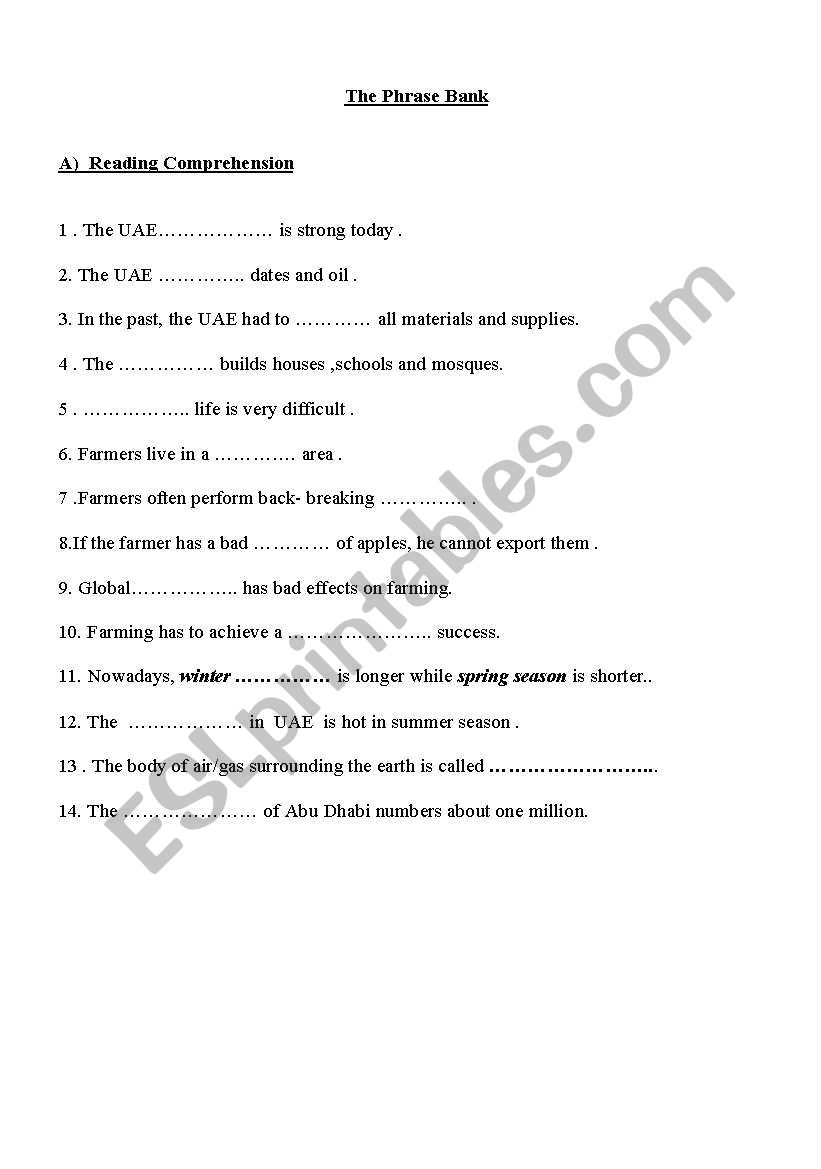 Vocabulary Phrase Bank worksheet