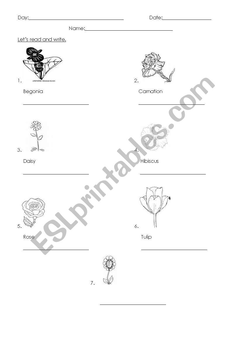 flowers worksheet