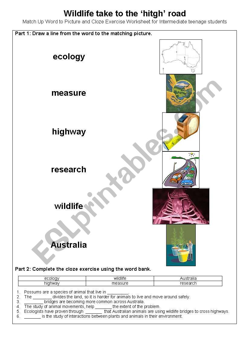 Wildlife in Australia worksheet