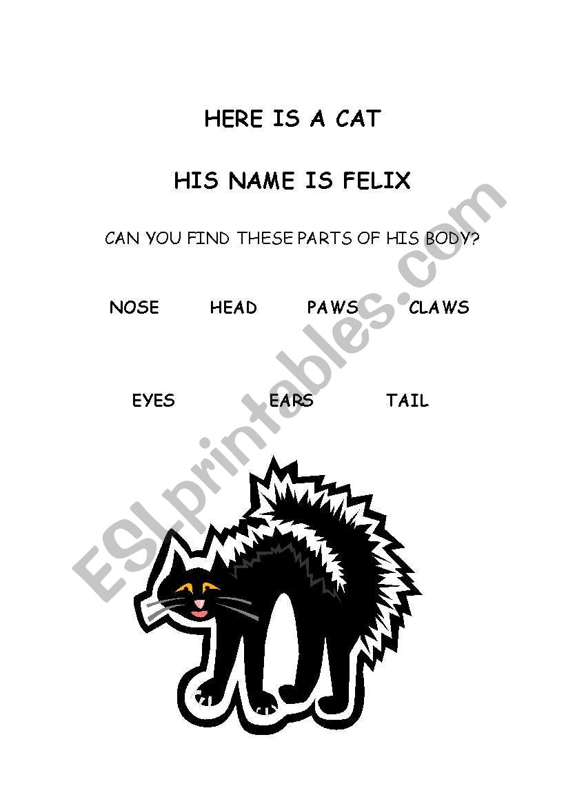 Animal body parts worksheet