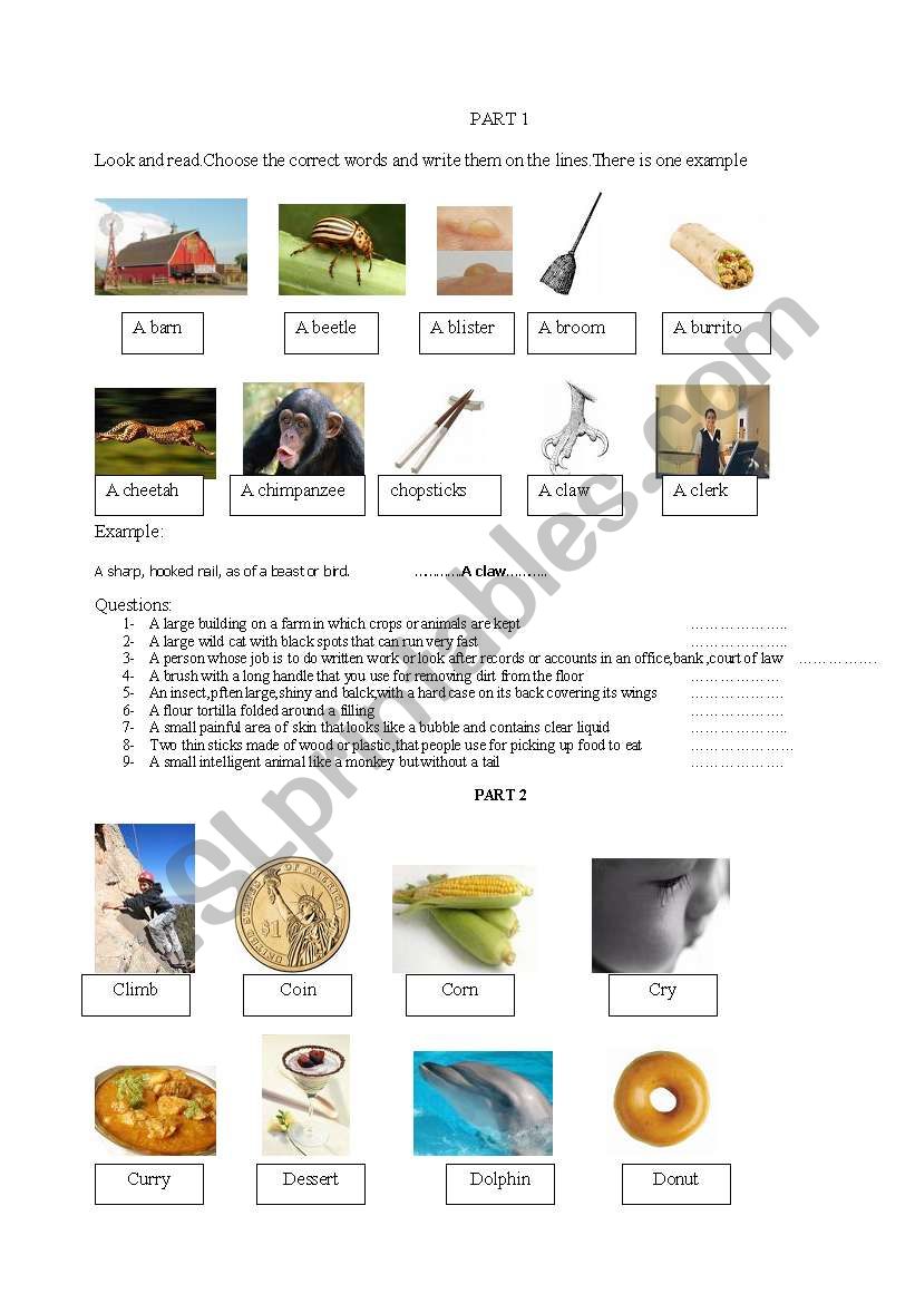 Vocalulary worksheet