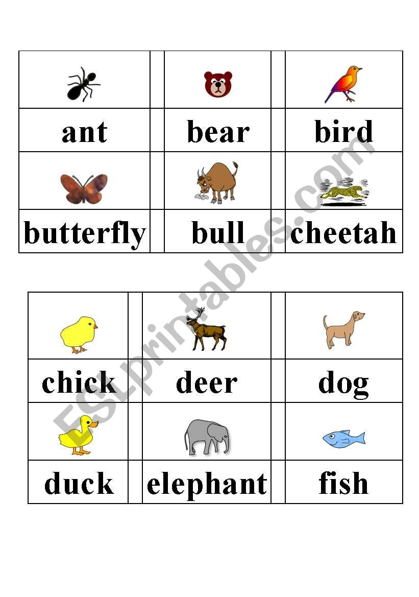 picture dictionary worksheet