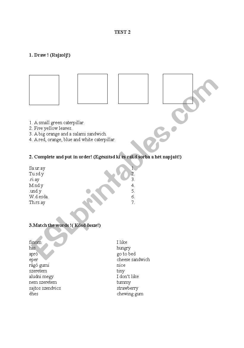 Basic English Grammar worksheet