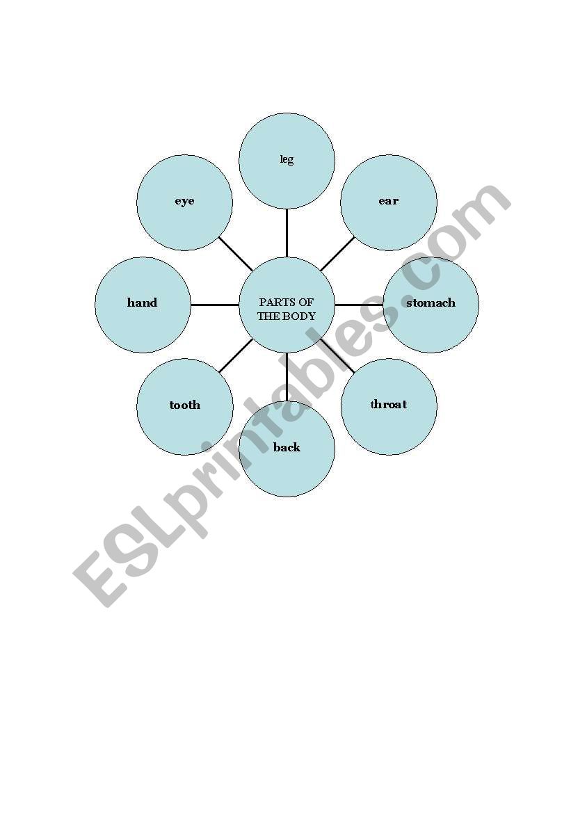 Parts of the body diagram worksheet