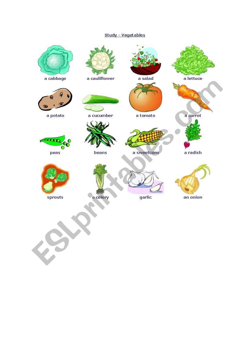 vegetables worksheet