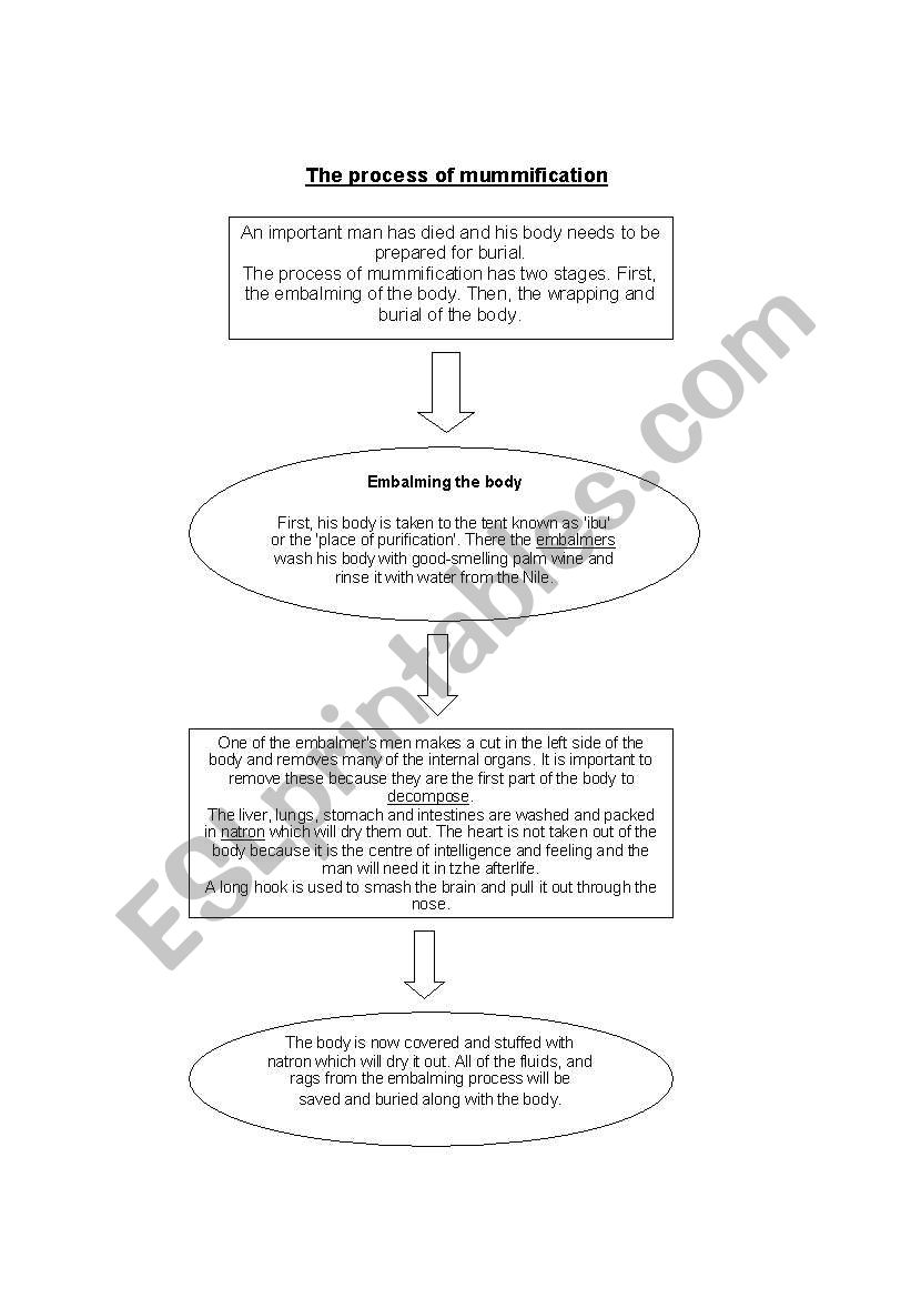 History worksheet