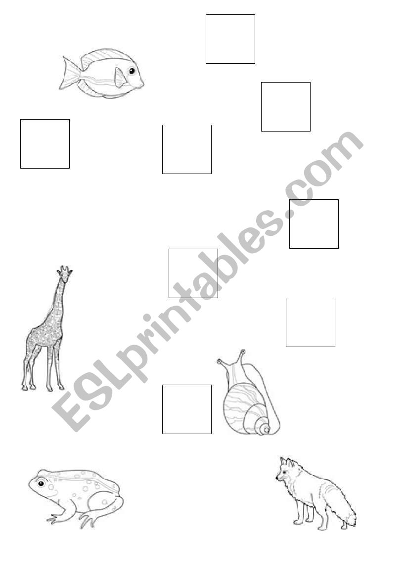 animals worksheet