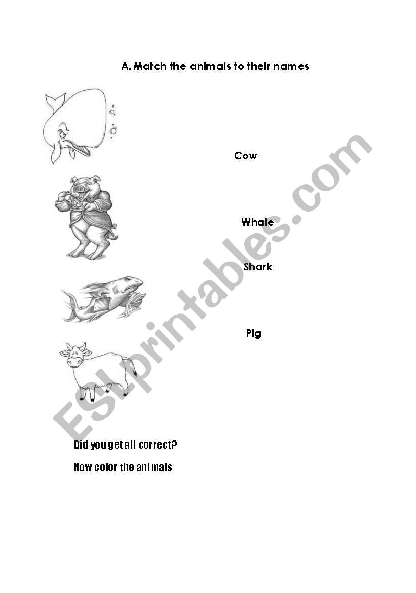 Having fun with animals worksheet