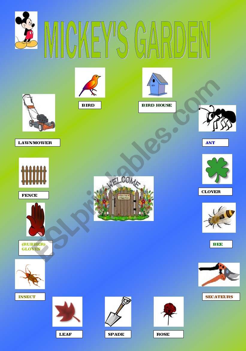 MICKEYS GARDEN (2nd part/3) worksheet