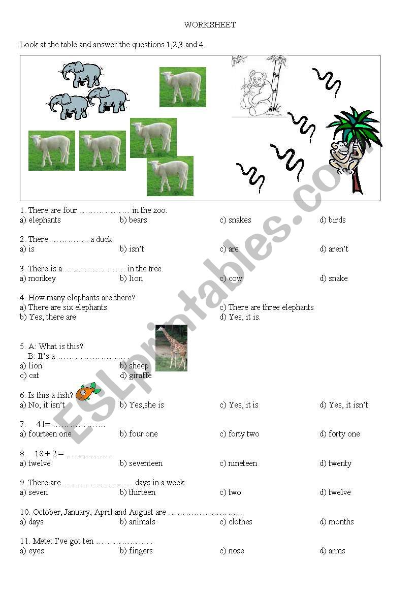 test for 4th grade worksheet