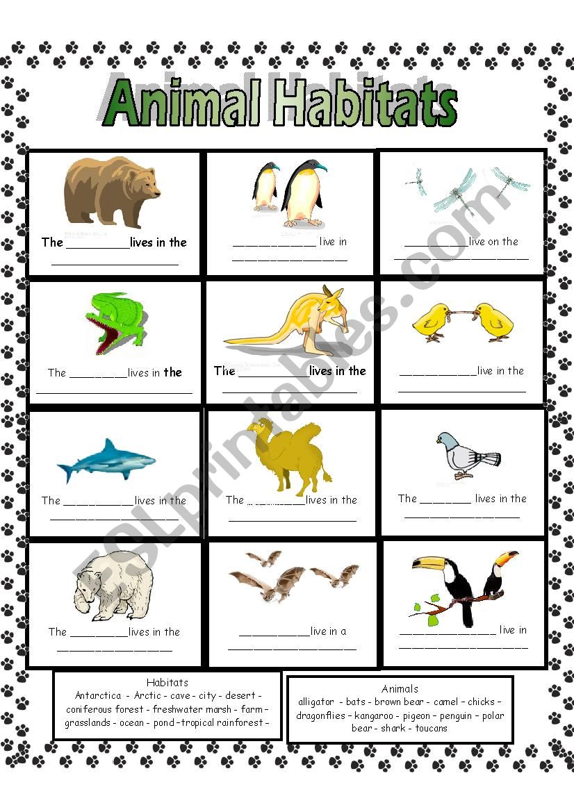 Animals And Their Habitats Worksheets - printable Worksheets, word