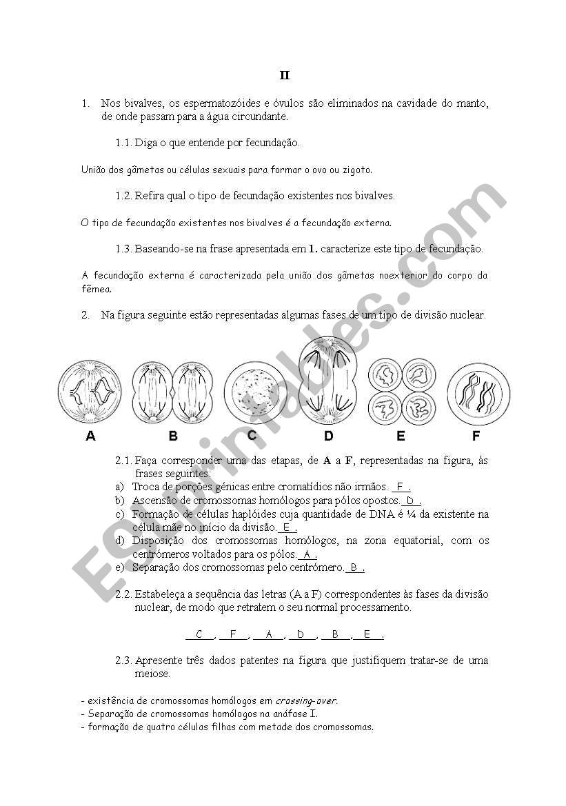 text worksheet