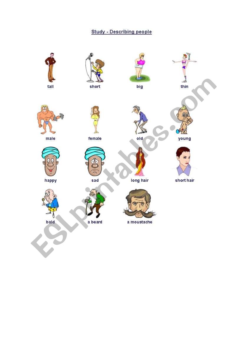 describing people worksheet