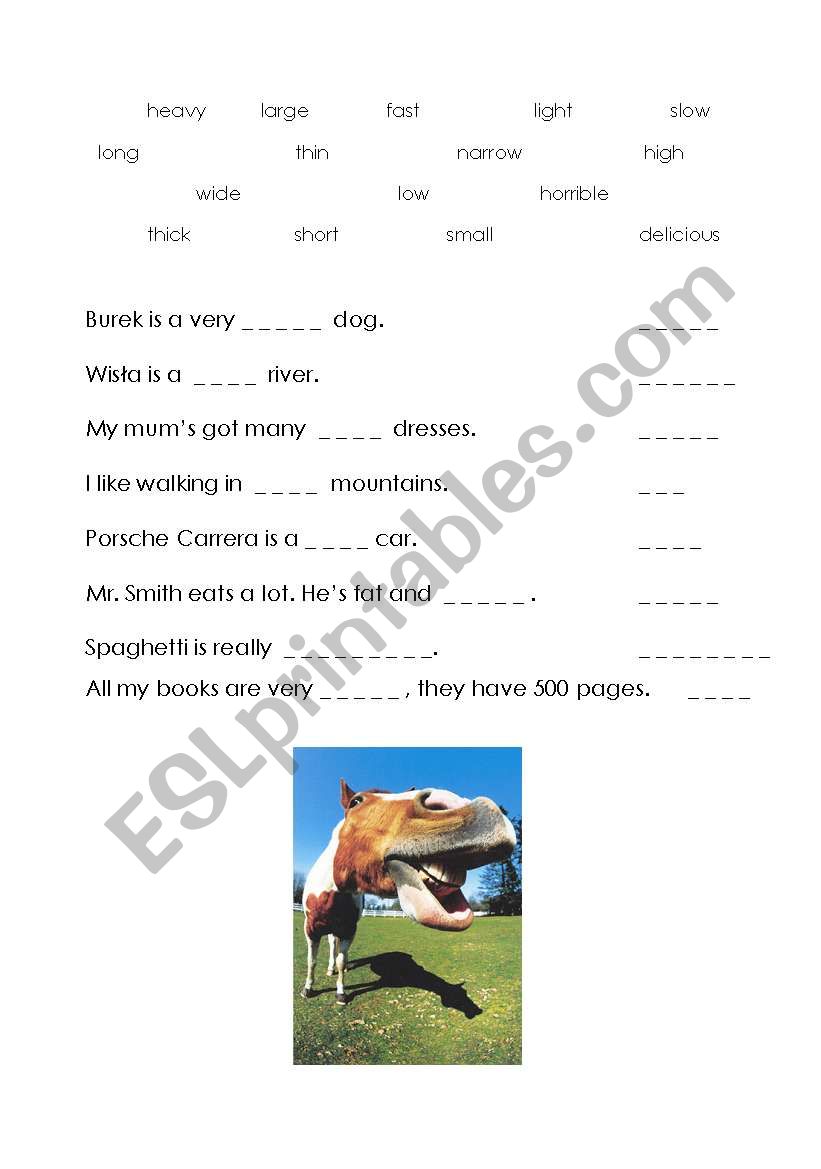 adjectives worksheet