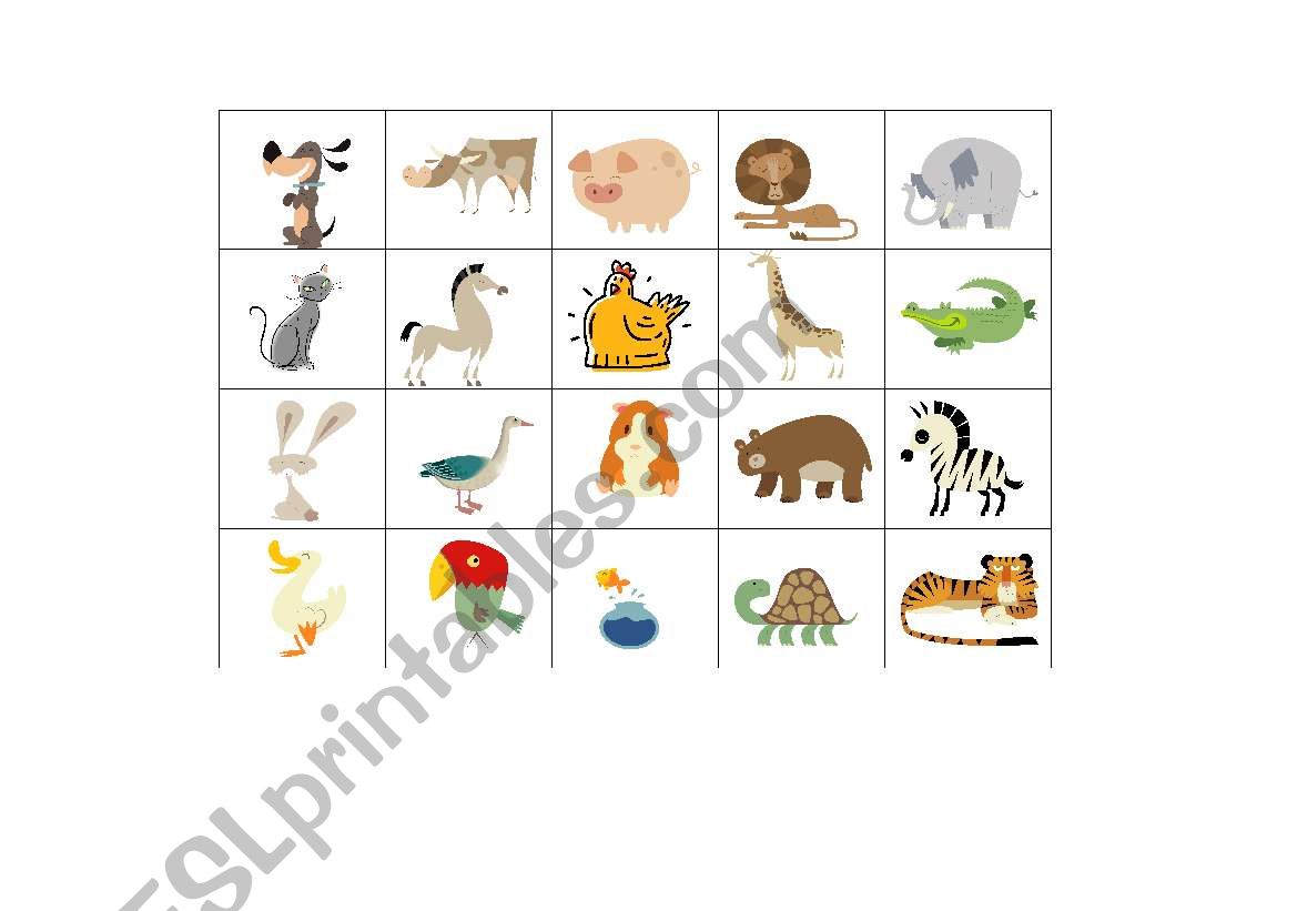 animal flash-cards worksheet
