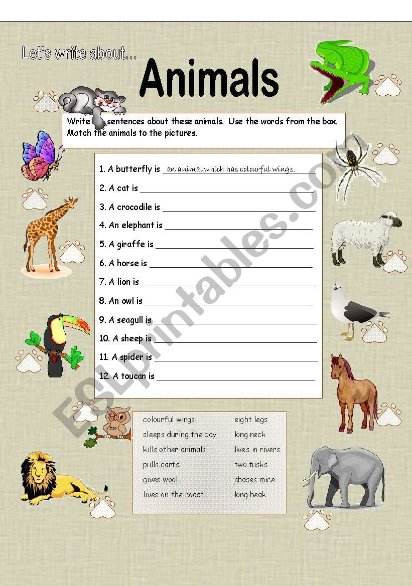 Let´s Write about Animals - ESL worksheet by Anna P