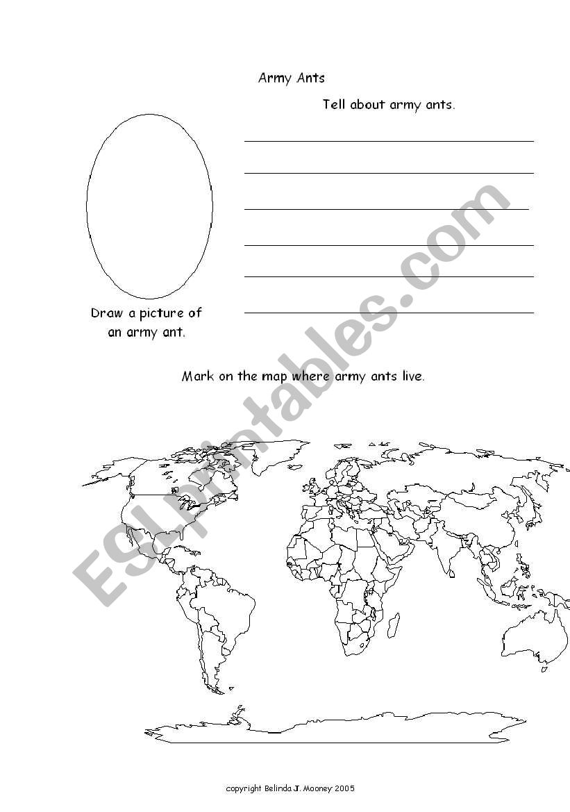 ants and countries worksheet