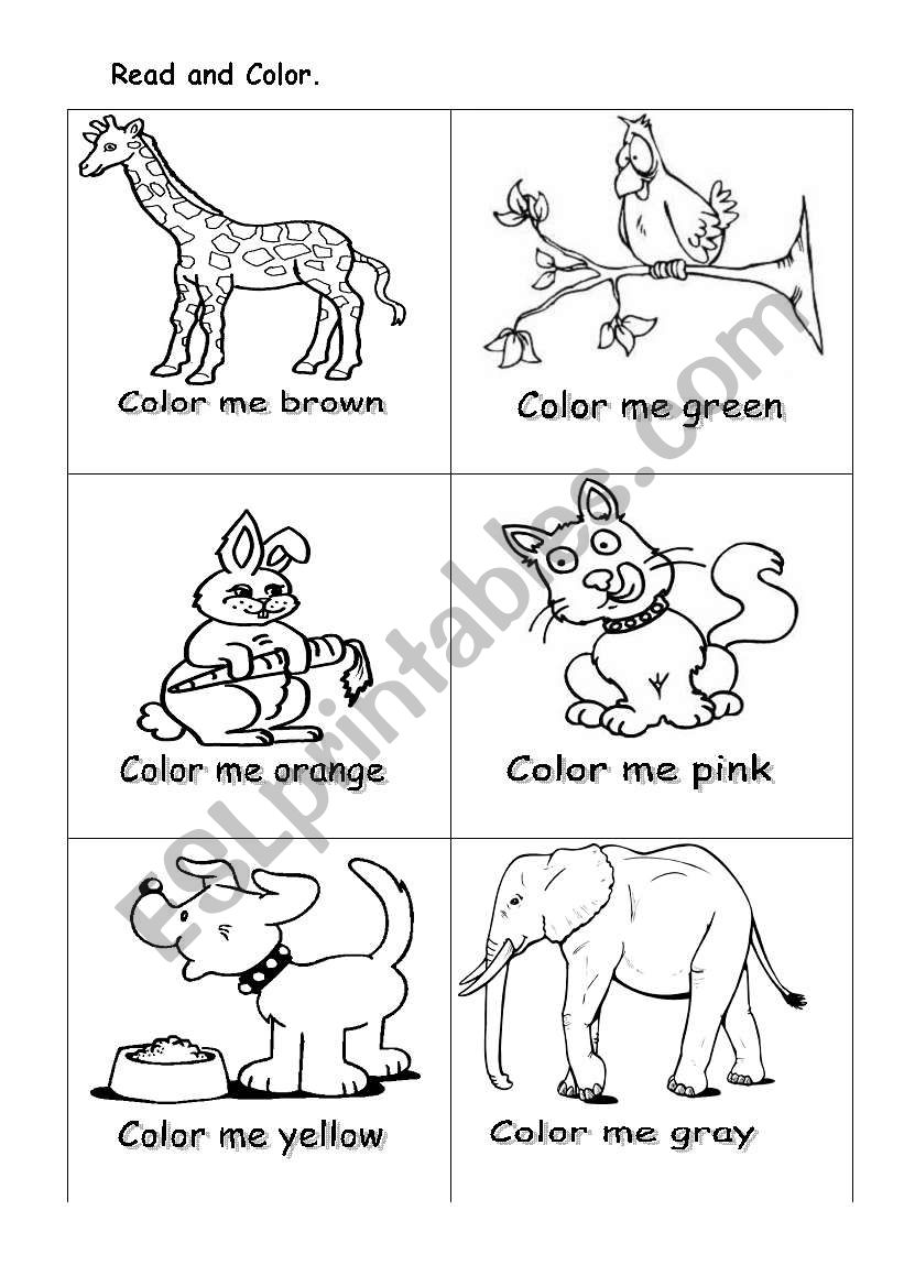 colors worksheet