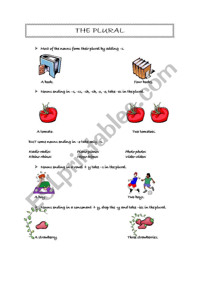 Plurals worksheet